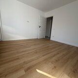 Dristor Camil Ressu, Odobesti